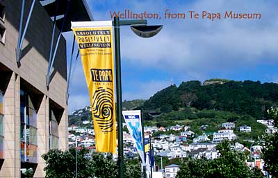 Wellington, from the Te Papa Museum