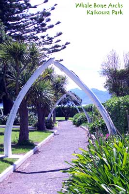 Whale Bone Archs at Kaikoura Park